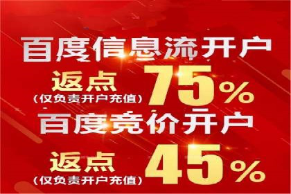 SEM主管案例分析：优化策略